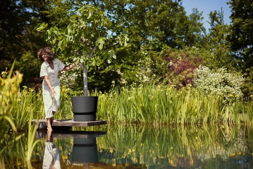 Elho bloempot met waterreservoir Greenville zwart D 50 H 55 cm