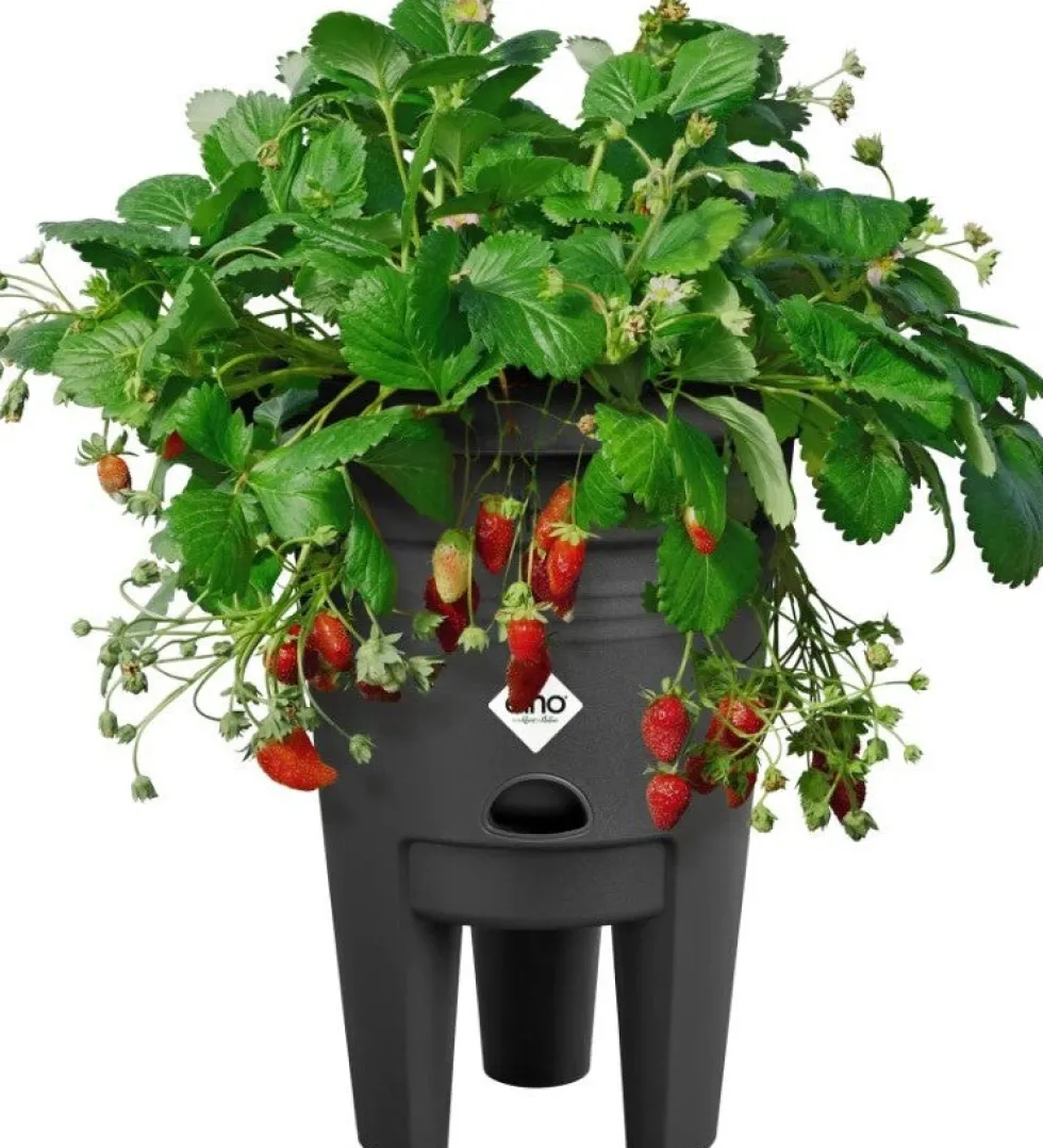 Elho bloempot op poten Green Basics zwart D 33 H 42 cm