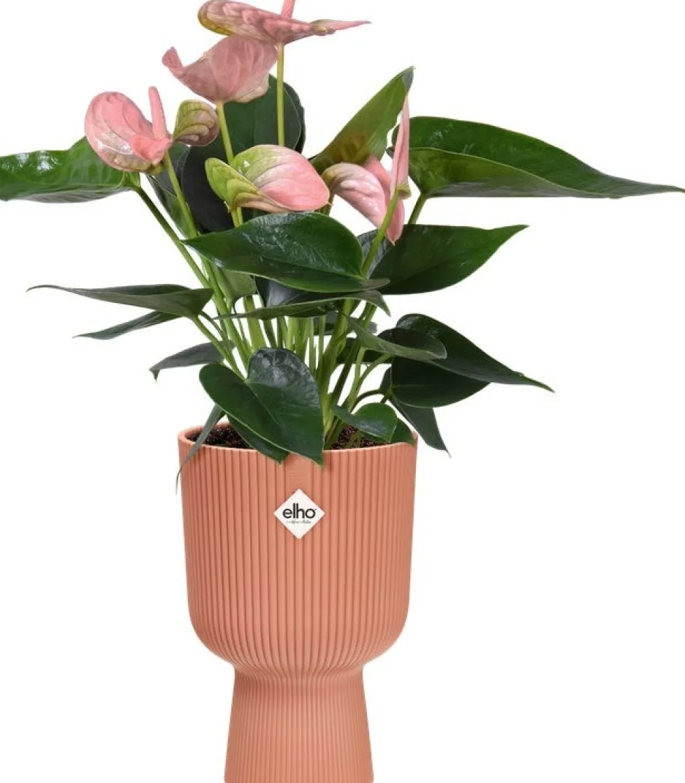 Elho bloempot op voet Vibes roze D 13,9 H 21 cm