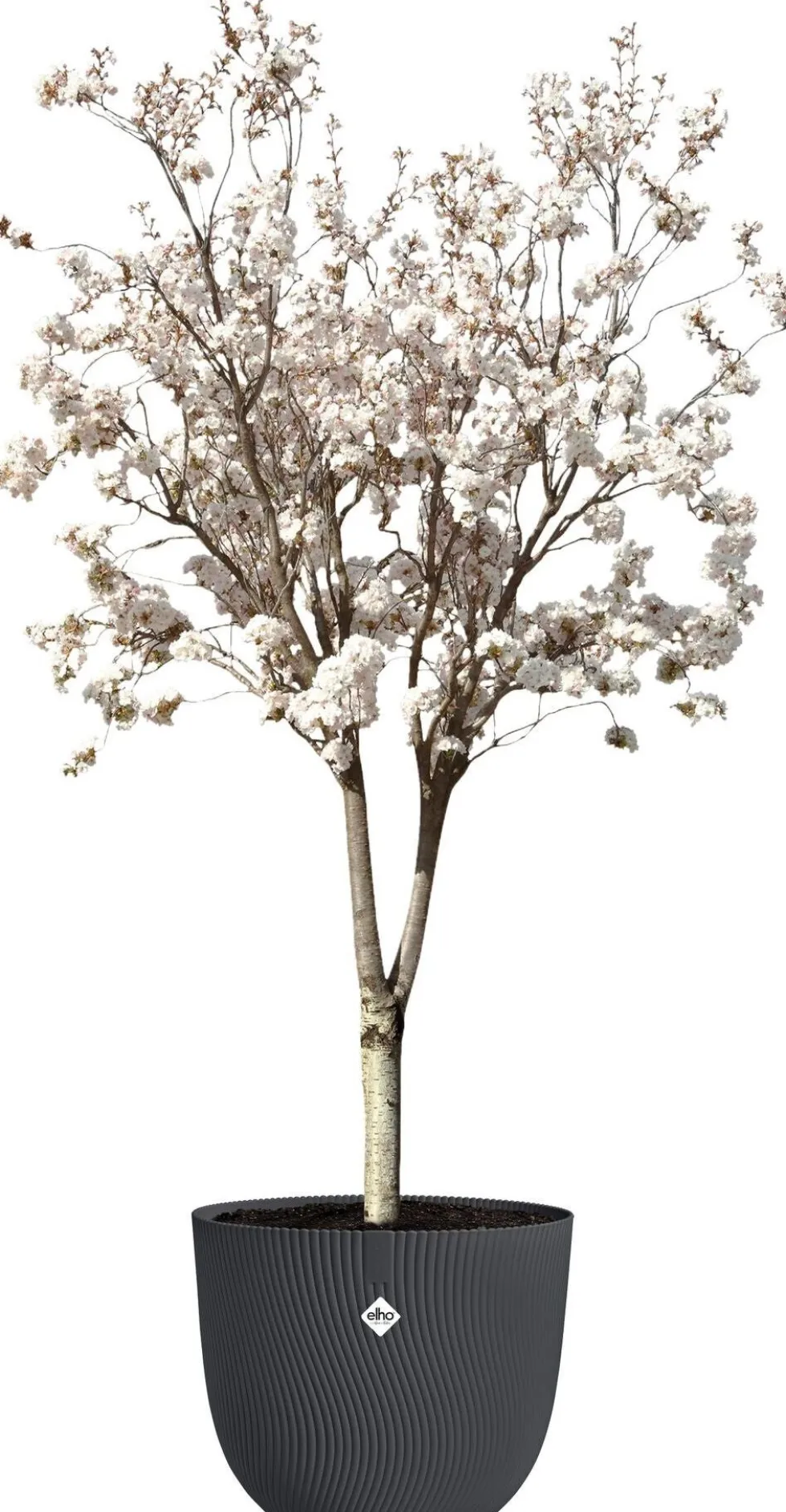 Elho bloempot Sereh antraciet D 47 H 40,1 cm