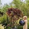 Elho bloempot Sereh antraciet D 59 H 50,6 cm