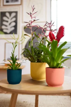 Elho bloempot Vibes roze D 14,1 H 12,9 cm