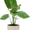 Elho bloempot Vibes wit D 16,14 H 14,7 cm