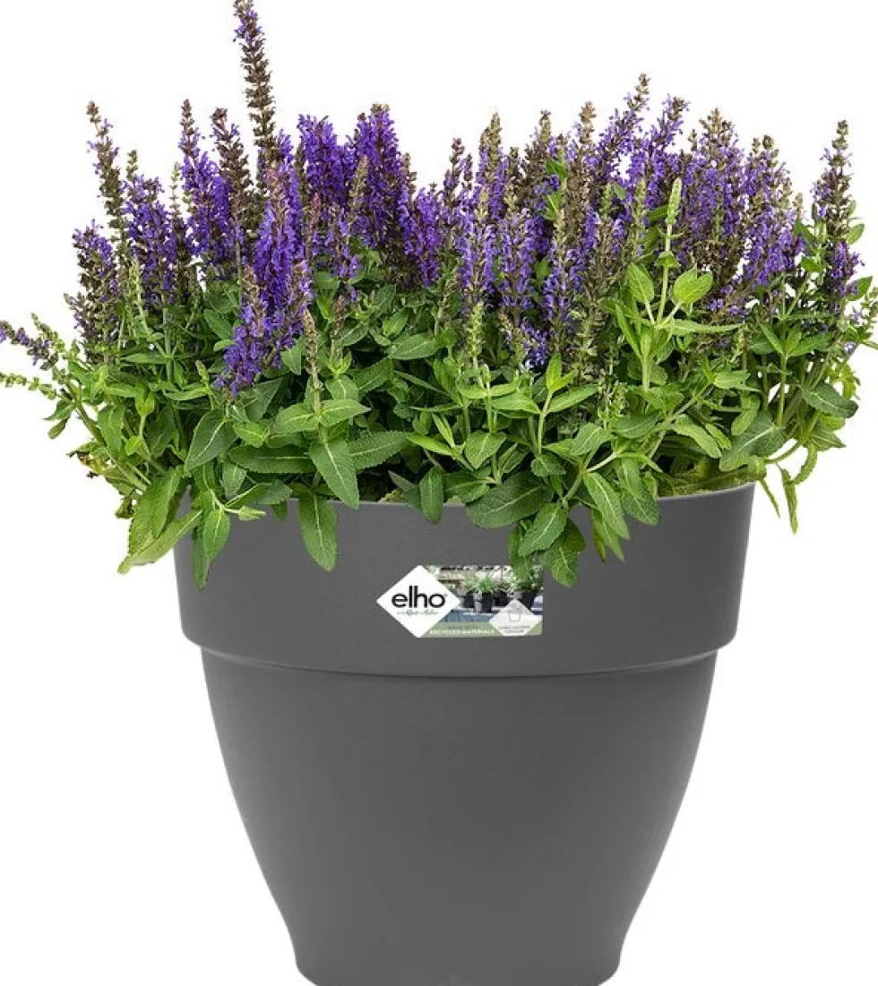 Elho bloempot Vibia Campana antraciet D 19,5 H 16,8 cm
