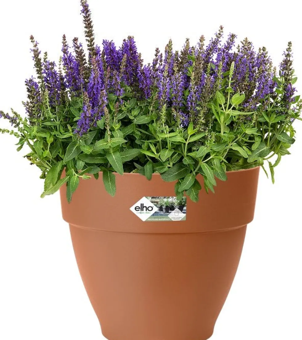 Elho bloempot Vibia Campana terracotta D 24,5 H 21 cm