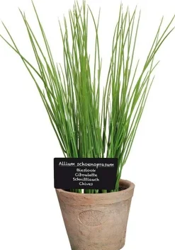 Esschert Design kunstplant Bieslook H 27 cm