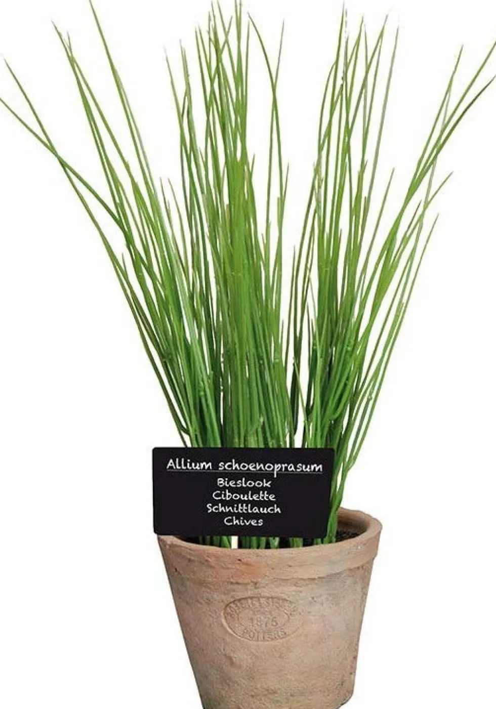 Esschert Design kunstplant Bieslook H 27 cm