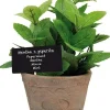 Esschert Design kunstplant Munt H 20 cm