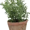 Esschert Design kunstplant Tijm H 15 cm