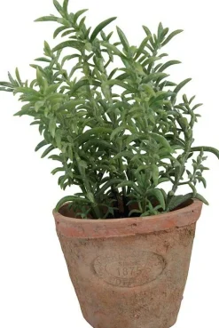 Esschert Design kunstplant Tijm H 15 cm
