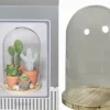 Glazen stolp transparant D 22 H 30 cm