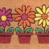 HQ Hamat kokosmat E-coco naturel 60 x 40 cm