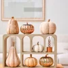 Intratuin beeld Autumn naturel D 15 H 15 cm