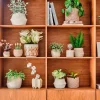 Intratuin bijzettafel Eza naturel 30 x 30 x 85 cm
