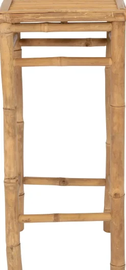 Intratuin bijzettafel Tropisch naturel 35 x 35 x 76 cm