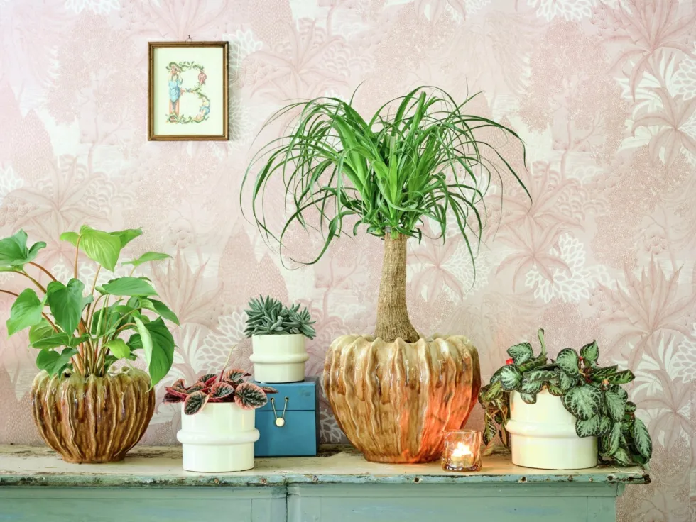 Intratuin bloempot Helle crème D 12,5 H 10 cm