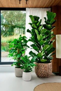 Intratuin bloempot Melle bruin D 19 H 17 cm