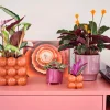 Intratuin bloempot op poten Eloi paars D 17 H 16,5 cm