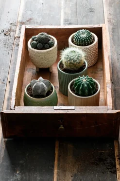 Intratuin bloempot op voet Loan crème D 11 H 13 cm