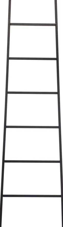 Intratuin decoratieladder Harry zwart 45 x 160 cm