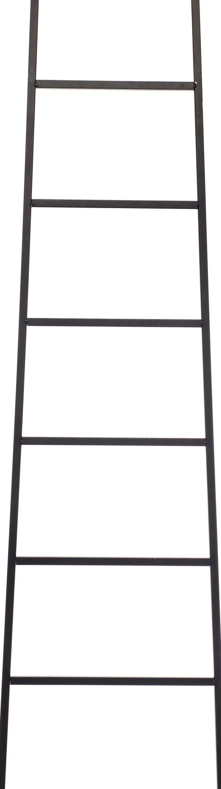 Intratuin decoratieladder Harry zwart 45 x 160 cm
