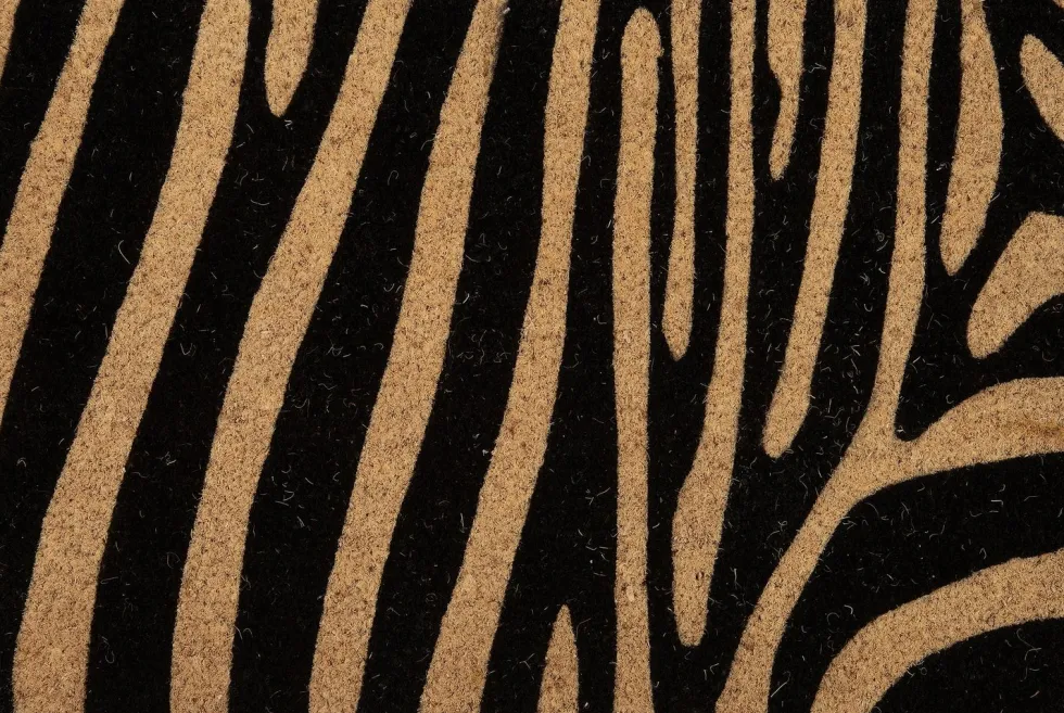 Intratuin deurmat Zebra 60 x 40 cm