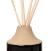 Intratuin geurstokjes Black Forest 100 ml