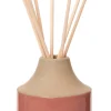 Intratuin geurstokjes Vanilla 100 ml