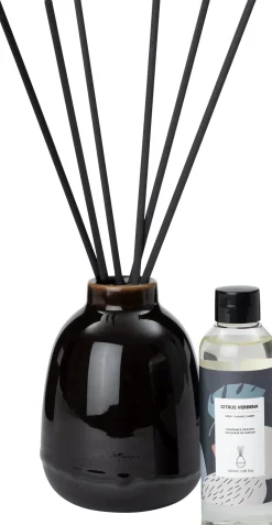 Intratuin geurstokjes Vex Citrus Verbena 100 ml