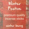 Intratuin geurstokjes Winter Festive winterbes 24 stuks