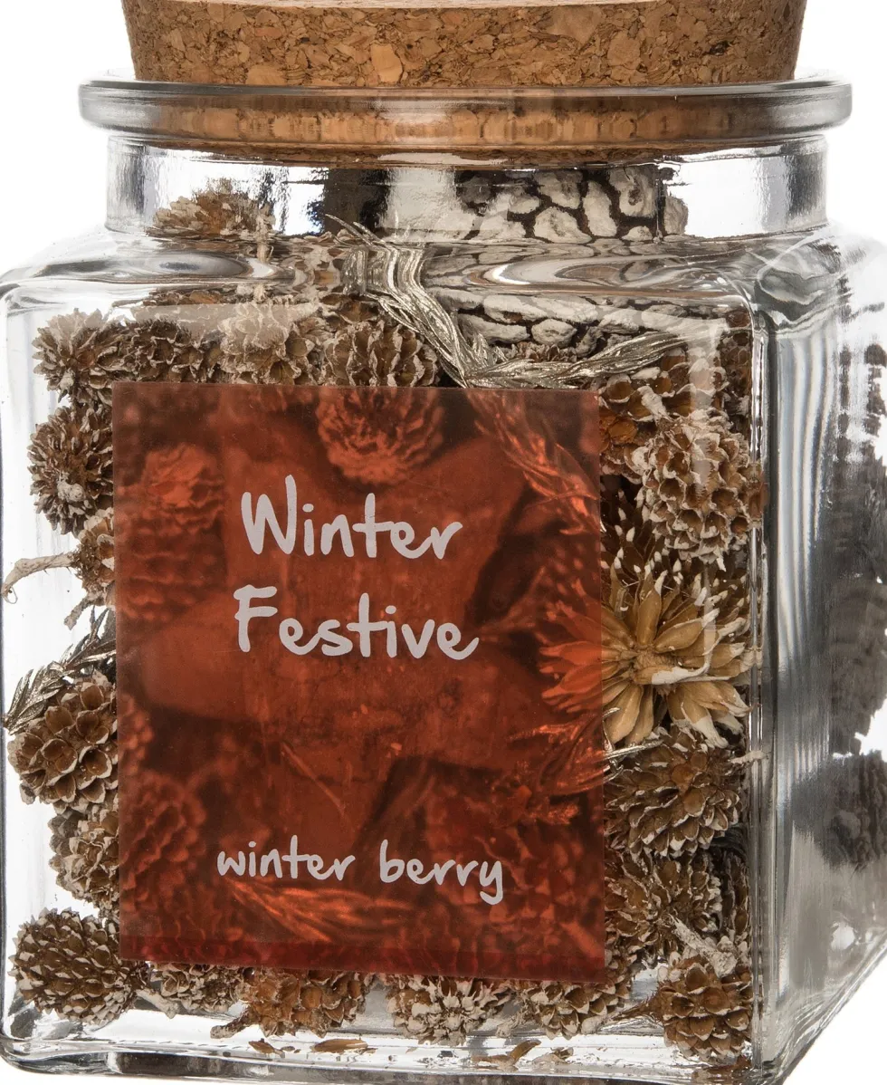 Intratuin geurverspreider Winter Festive winterbes 10 x 10 x 12 cm