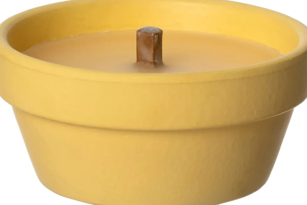 Intratuin kaars in pot Kindra geel 14 uur D 12 H 5,5 cm