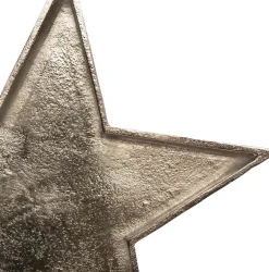 Intratuin kerstdecoratiebord ster zilver 24 x 1 x 24 cm