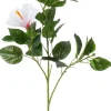 Intratuin kunstbloem Chinese roos wit H 78 cm