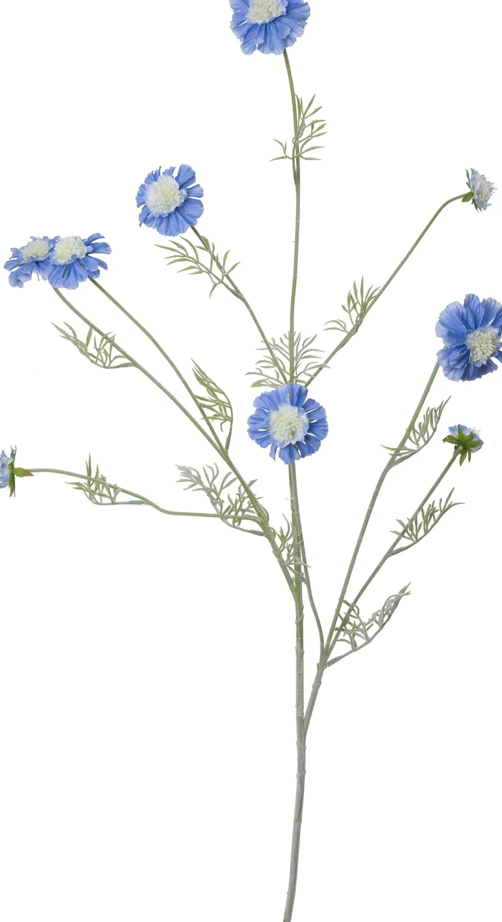 Intratuin kunstbloem Cosmea blauw H 120 cm