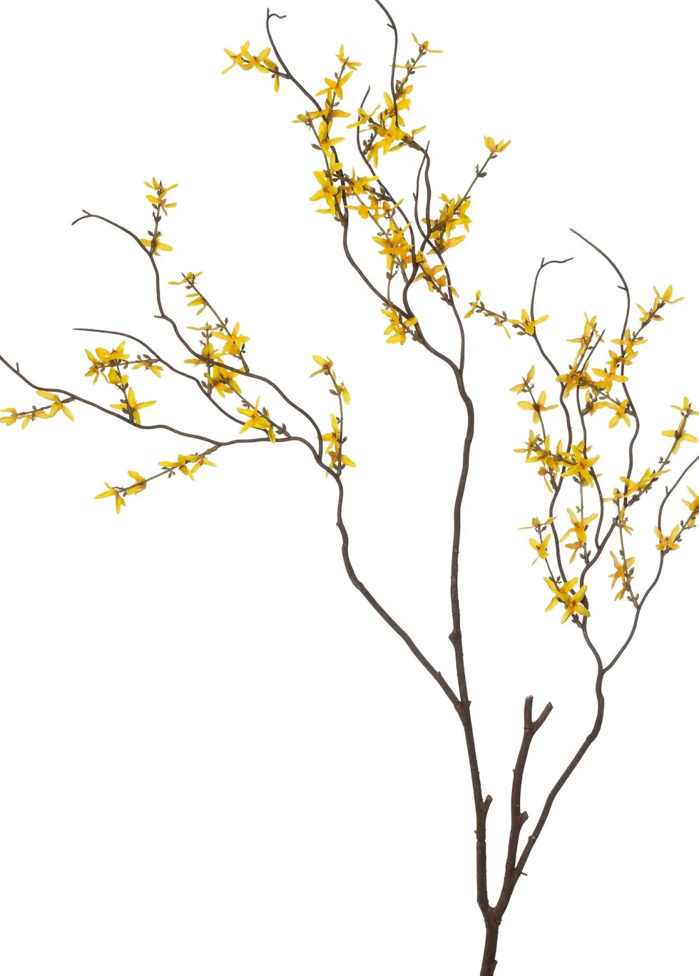 Intratuin kunstbloem Forsythia geel H 120 cm