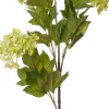 Intratuin kunstbloem Gelderse roos groen H 87 cm