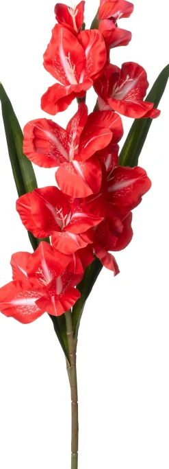 Intratuin kunstbloem Gladiool rood H 102 cm