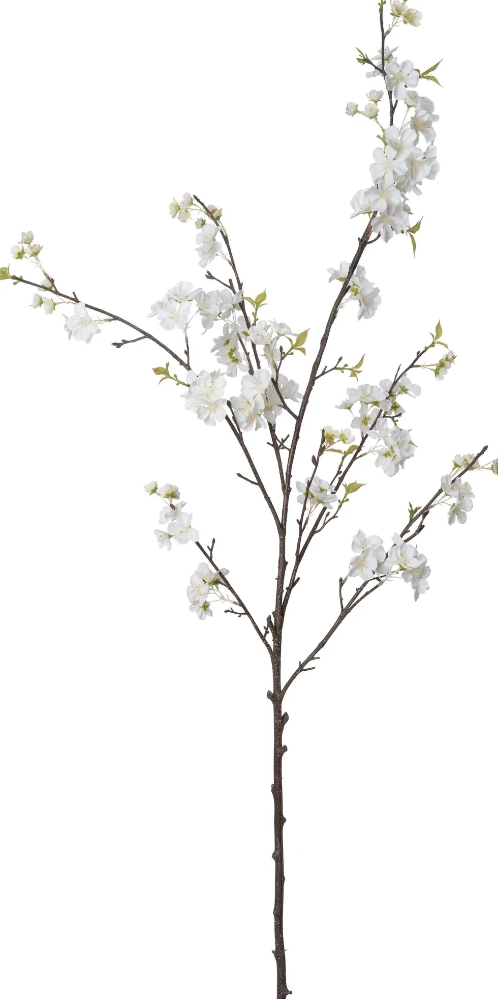 Intratuin kunstbloem Japanse Sierkers wit H 150 cm