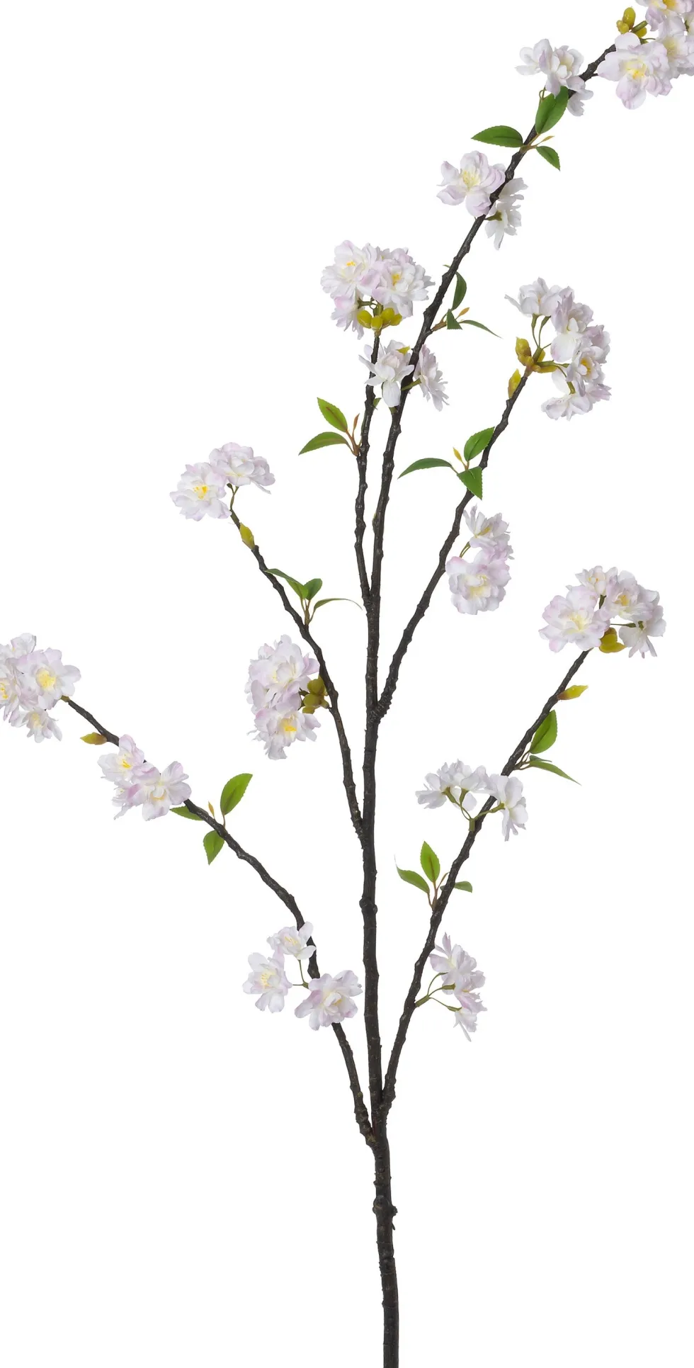 Intratuin kunstbloem Japanse Sierkers crème H 140 cm