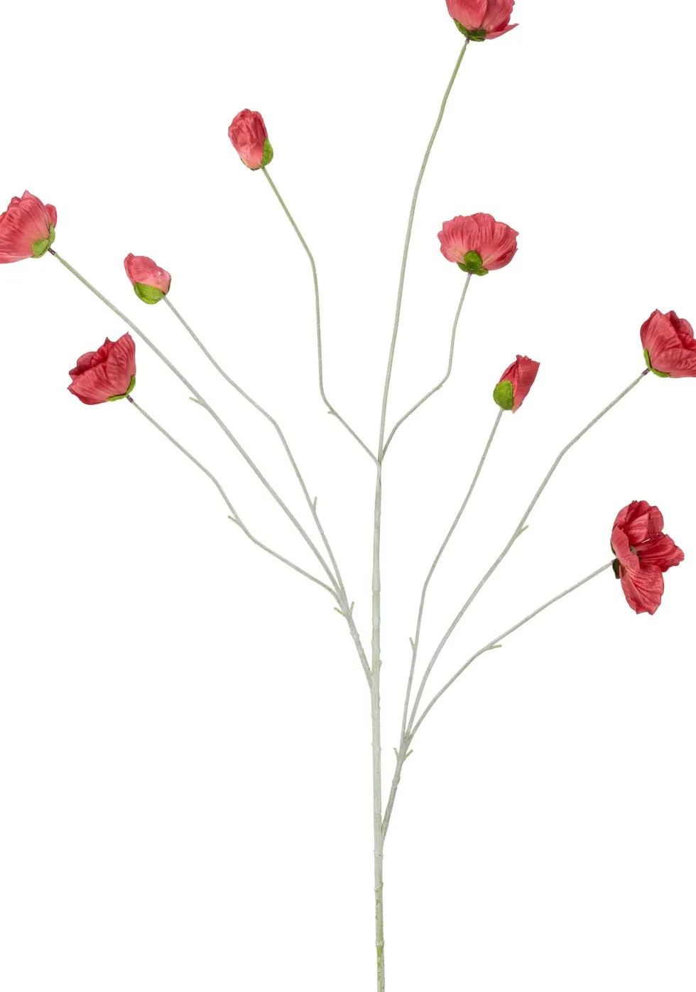 Intratuin kunstbloem Klaproos rood H 122 cm