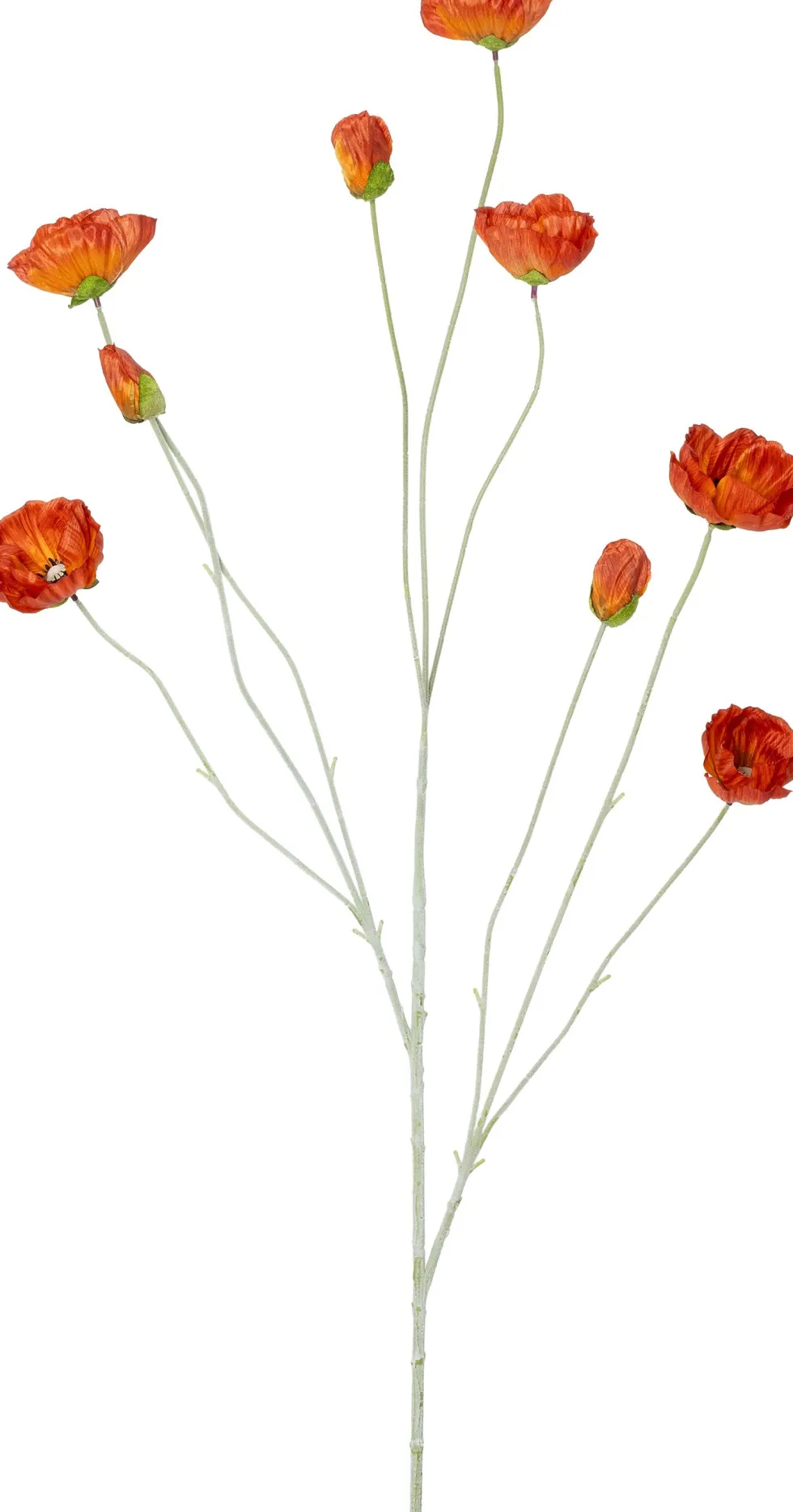 Intratuin kunstbloem Klaproos oranje H 122 cm