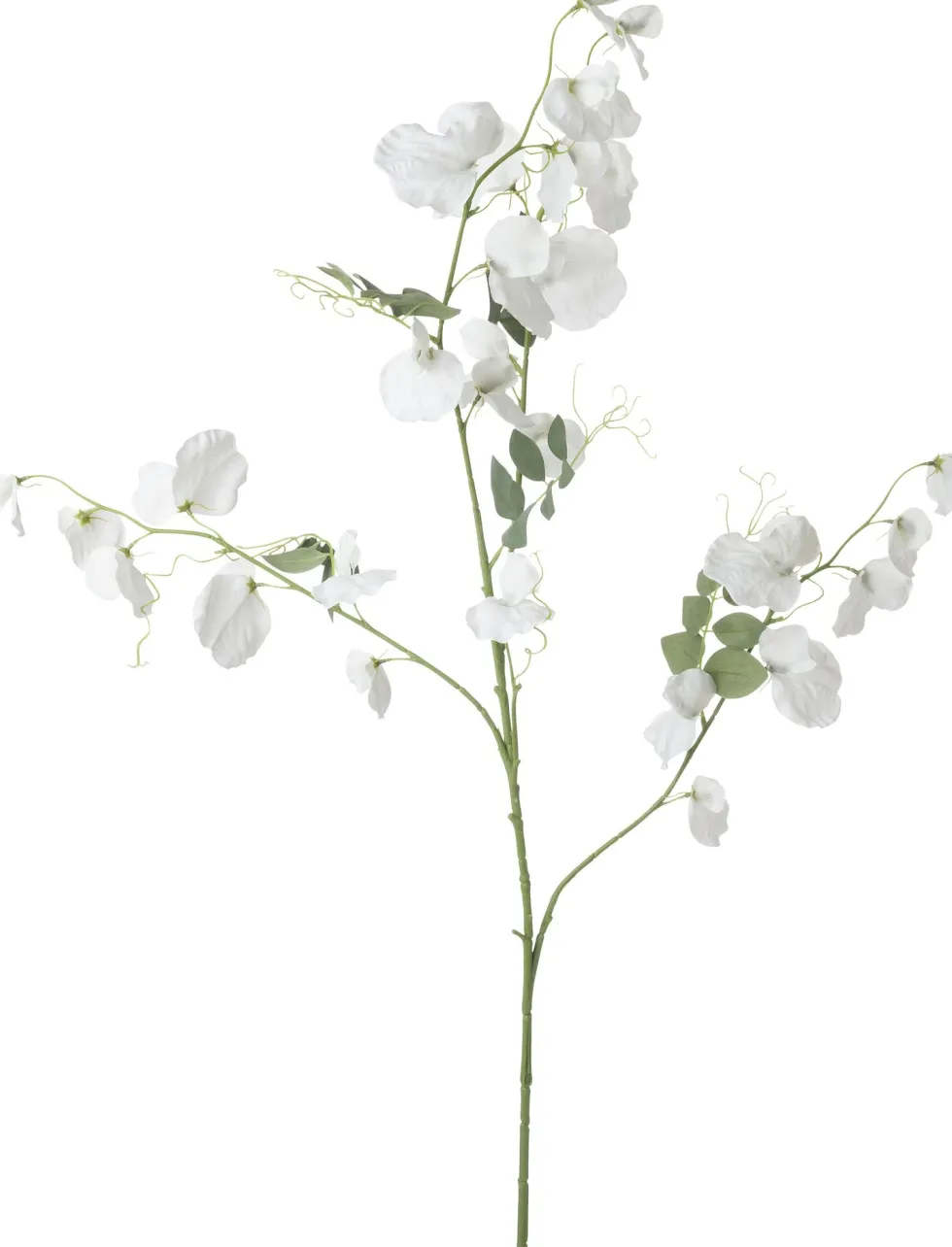 Intratuin kunstbloem Lathyrus wit H 113 cm