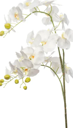 Intratuin kunstbloem Orchidee wit H 137 cm