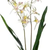 Intratuin kunstbloem Orchidee wit / geel H 83 cm
