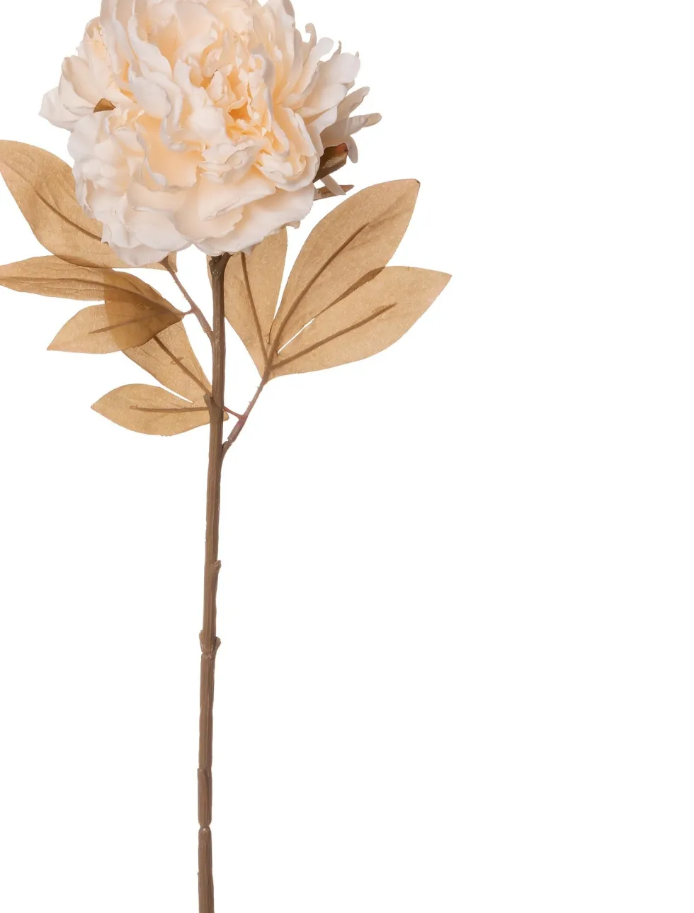 Intratuin kunstbloem Pioenroos crème H 77 cm