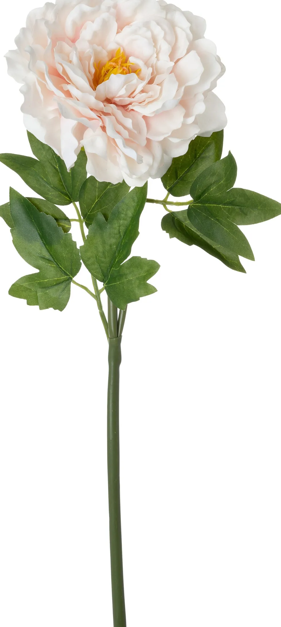 Intratuin kunstbloem Pioenroos wit / roze H 60 cm