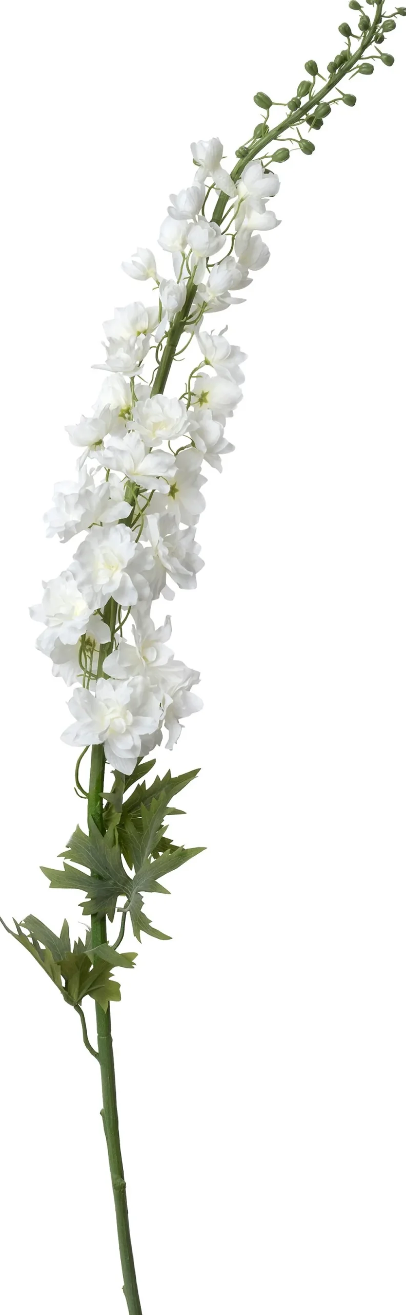 Intratuin kunstbloem Ridderspoor wit H 135 cm