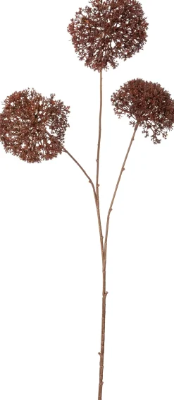 Intratuin kunstbloem Wilde peen bruin H 91 cm