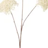 Intratuin kunstbloem Wilde peen crème H 91 cm